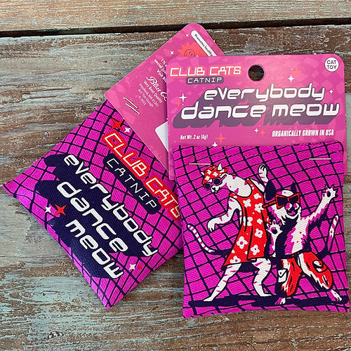 Everybody Dance Meow Catnip Toy