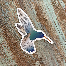 Hummingbird Sticker