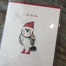 Hoo Hoo Hoo Owl Boxed Cards