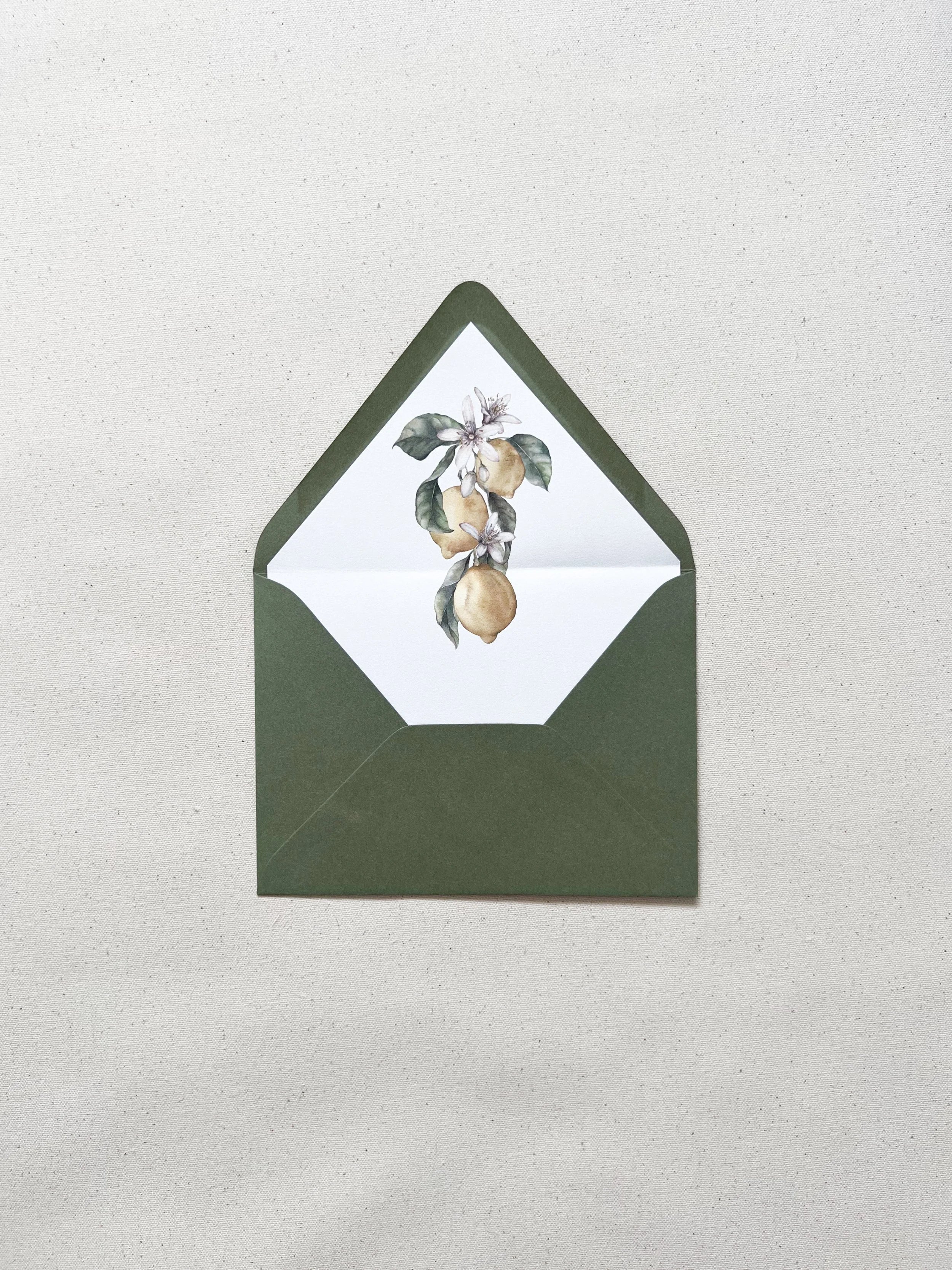 Citrus Envelope Liner