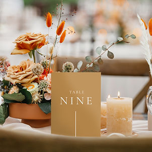 Modern Table Numbers