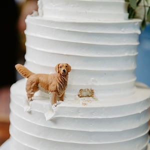 Personalized Dog Wedding Cake Topper: Custom Pet Birthday Cake Decoration